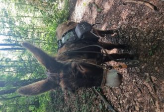 Le p&rsquo;tit coin de Ca&rsquo;Ré