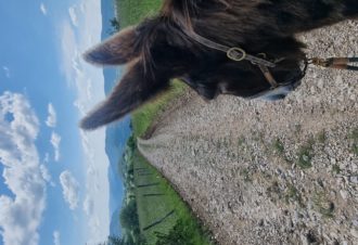 Le p&rsquo;tit coin de Ca&rsquo;Ré