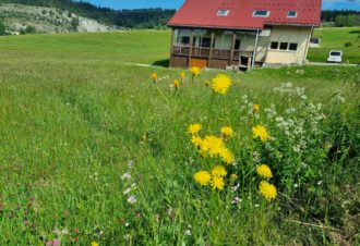 Chalet familial de Cuiseaux en Val Foncine