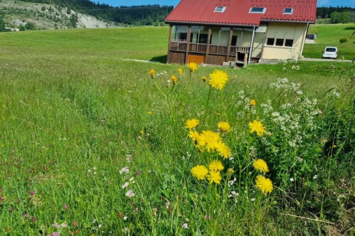 Chalet Cuiseaux Val Foncine