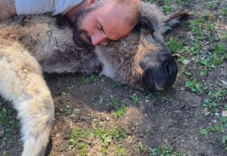 Le p&rsquo;tit coin de Ca&rsquo;Ré