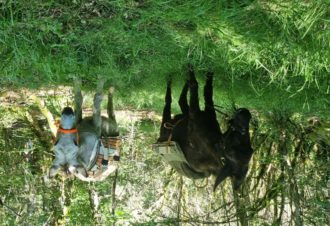 Le p&rsquo;tit coin de Ca&rsquo;Ré