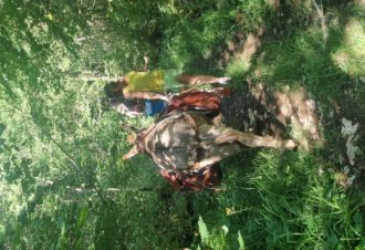 Le p&rsquo;tit coin de Ca&rsquo;Ré