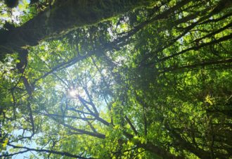 Helena Moniello – Harmonie et Lumière