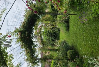 Le Jardin des Nouvelles