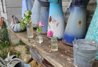 Le Jardin des Nouvelles