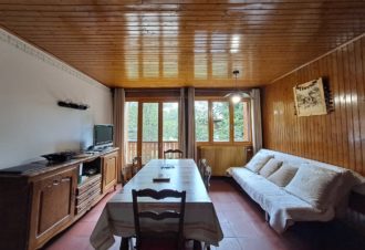 Appartement – chalet l’Igloo – P611GAME0