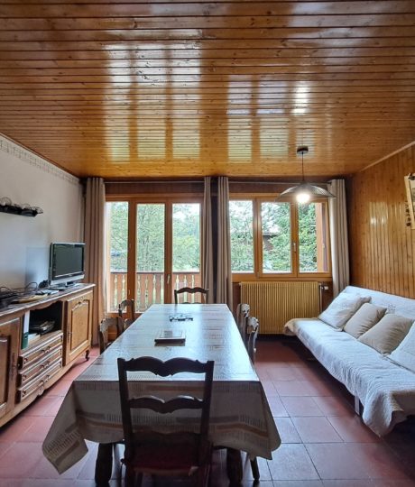 Appartement – chalet l’Igloo – P611GAME0