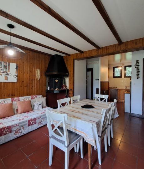 Appartement – chalet l’Igloo – P501GAME0