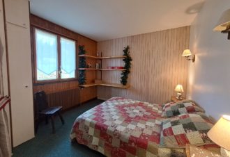 Appartement – chalet l’Igloo – P501GAME0