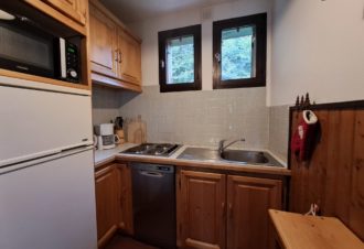 Appartement – chalet l’Igloo – P501GAME0