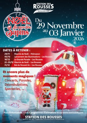 2025-10-30_NAPDS_AFFICHE