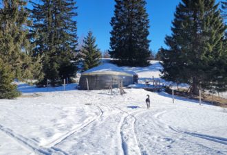 La Guienette – Yourtes