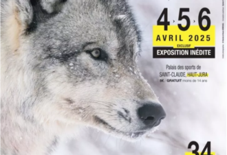 FINA – Festival Inter’Nature du Haut-Jura