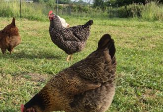 À la Maison – gîte