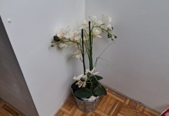 Chez Peggy et Éric – Zen et Indus