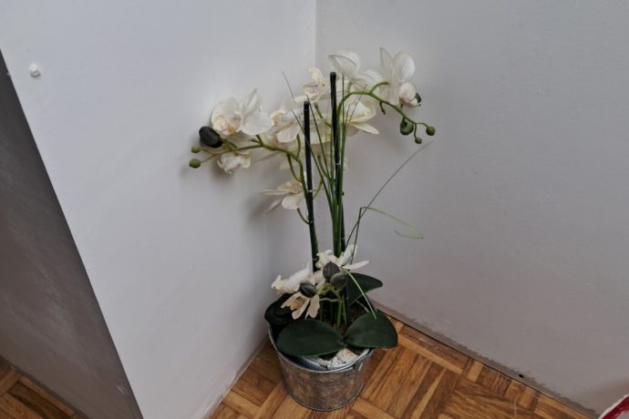 20250730_134356 – Zen