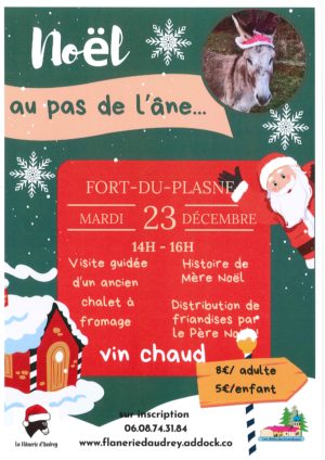 20251204114122564_0001