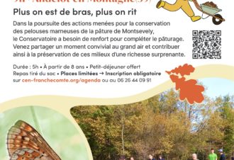 Chantier d&rsquo;automne