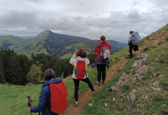 Lézard des bois – Accompagnateur en montagne, moniteur escalade / canyon