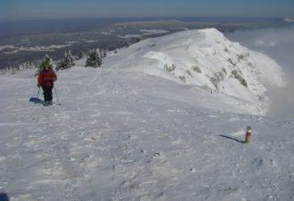 Lézard des bois – Accompagnateur en montagne, moniteur escalade / canyon