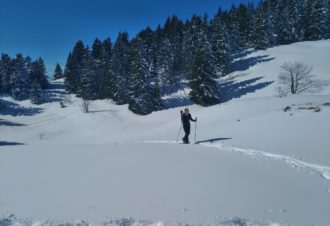 Lézard des bois – Accompagnateur en montagne, moniteur escalade / canyon