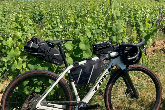 286894656_196598072692900_9078103179502276096_n