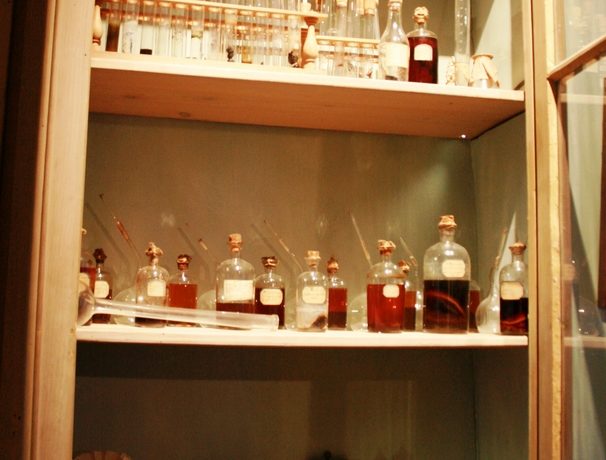 MUSEE LA MAISON DE LOUIS PASTEUR_3
