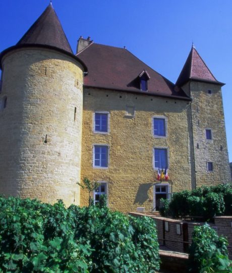 Musée de la Vigne et du Vin du Jura