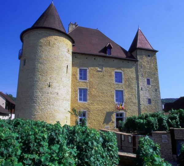 Musée de la Vigne et du Vin du Jura