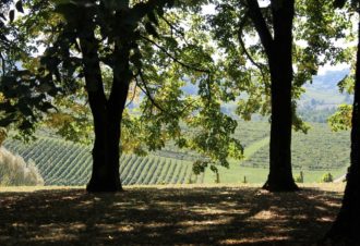 Henri Maire, Les Deux Tonneaux