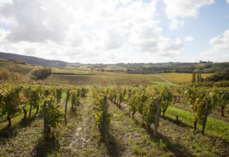 Henri Maire, Les Deux Tonneaux
