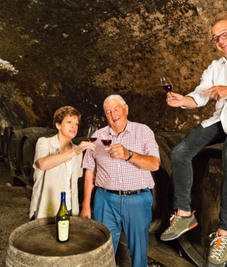 176053Domaine Jacques Tissot