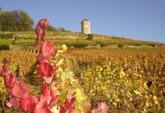 Domaine André et Mireille Tissot