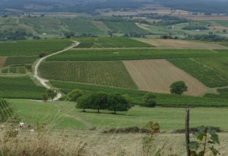 Fruitière Vinicole de Pupillin