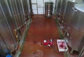 Fruitière Vinicole de Pupillin