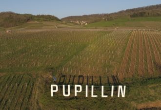 Fruitière Vinicole de Pupillin