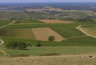 Fruitière Vinicole de Pupillin