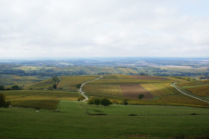 DOMAINE DESIRE PETIT_7