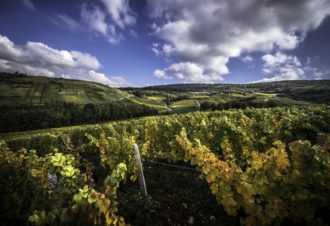 Domaine Desiré Petit