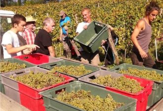 Domaine de la Tournelle