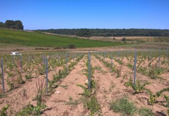 Domaine Amelie Guillot