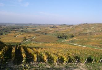 Domaine de la Renardière, Jean-Michel Petit