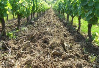 Domaine de la Renardière, Jean-Michel Petit