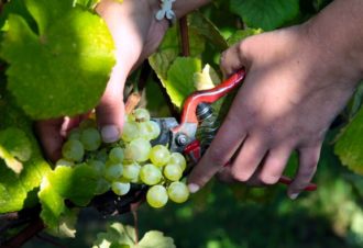 Domaine Daniel Dugois