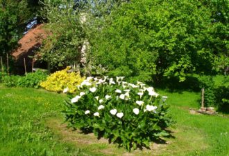 La Source d’Argammet