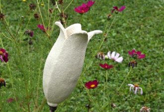 Poterie raku et sculpture