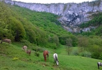 Aux Re-sources de la Reculée