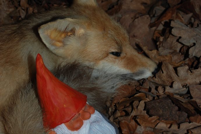 MUSEE – BARAQUES DU 14_4