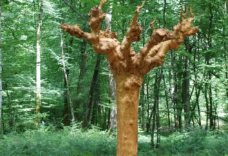 Forêt de Chaux, baraques bûcheronnes du 14
